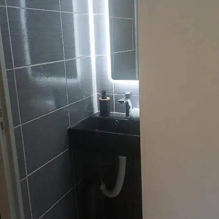 Planinska Kuca Bajni * Vlajsovici